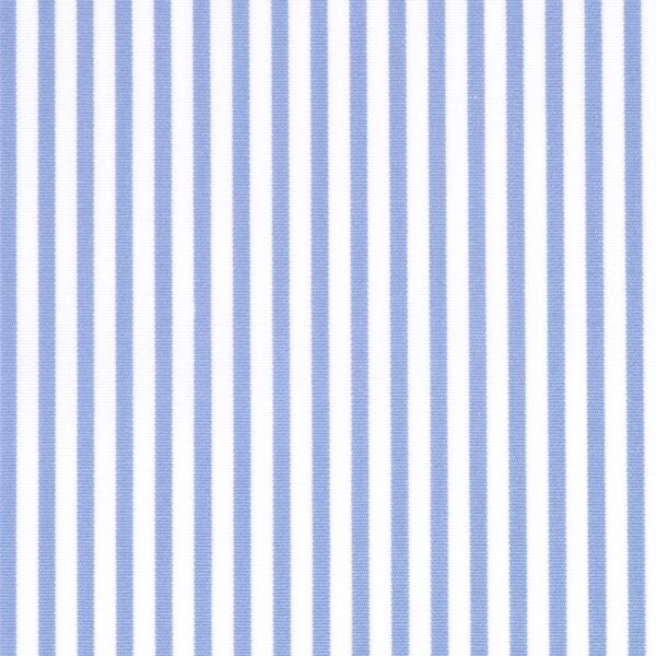 Blue Bengal Stripe - Image 2