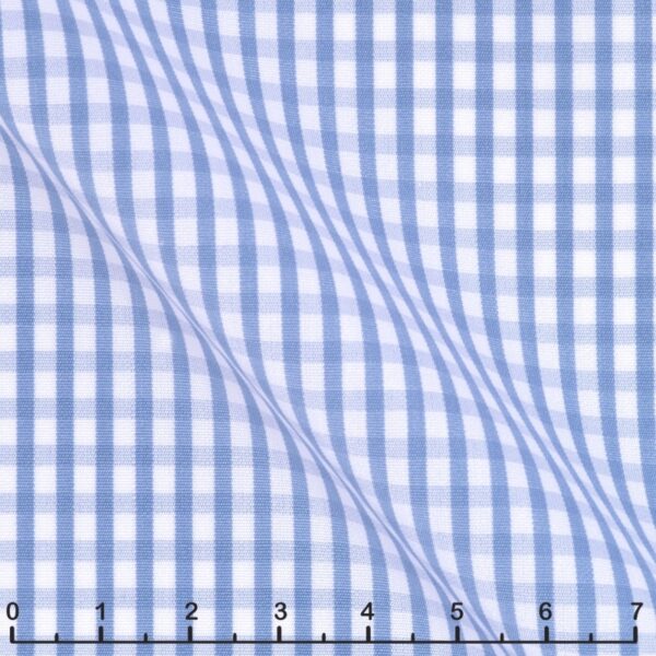 Blue Gingham Check